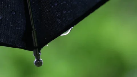 Raindrop falls from black umbrella on wet summer day Stock Footage 281167829