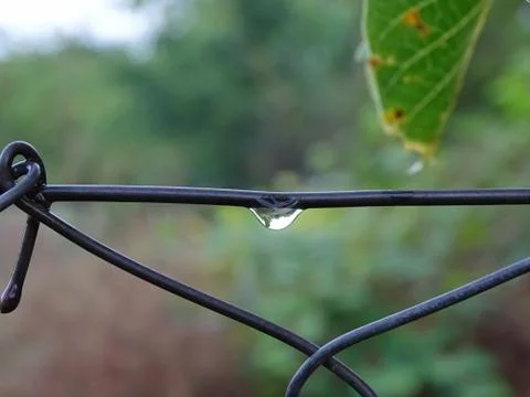 Raindrop on a fence Stock Photos