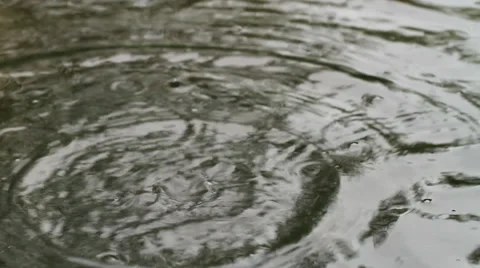 Raindrop Stock Footage 32663327