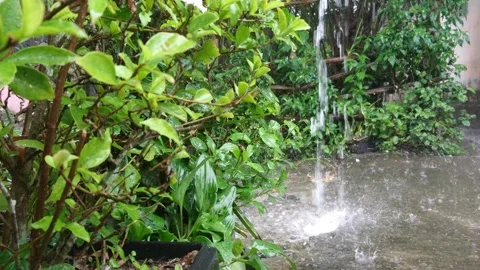 Raindrop. Stock Footage 250058461