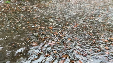 Raindrop. Video stock 279481465