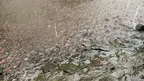 Raindrop. Stock Footage 286868074