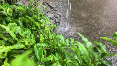 Raindrop. Stock Footage 286868207