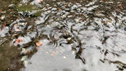 Raindrop. Stock Footage 286868513