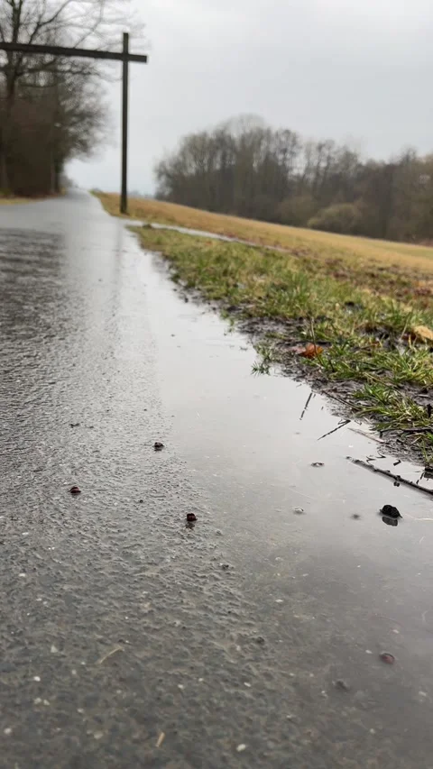 Raindrop hitting puddle on asphalt Stock Footage 305115801