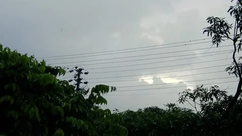 Raindrop on leaf tree, Light Rain Falling On Tree Leaves, Evening sky Vídeos de archivo 308388870