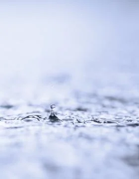 Raindrop Stock Photos