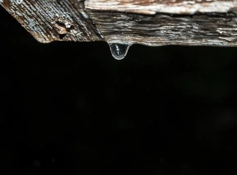 Raindrop Stock Photos