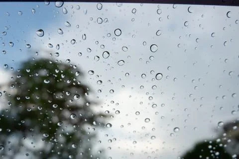 Raindrop Stock Photos