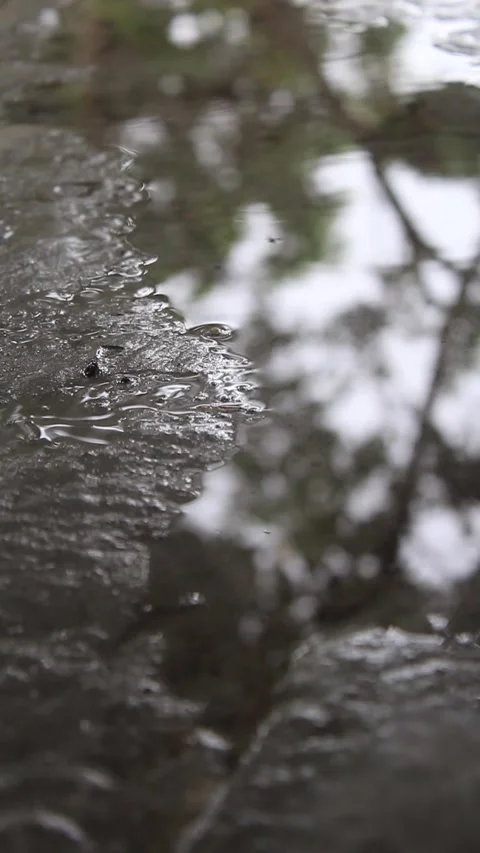 Raindrop puddles on the front porch with reflected light Video stock 298276021