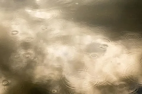 Raindrop Reflections Foto stock