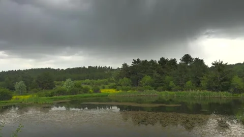 Raindrop rings spread across forest lake with dry leaves - Secluded Freshwater Stock Footage 339811123