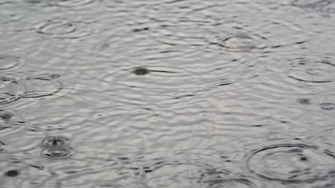 Raindrop rings spread across a water surface in slow motion as circular ripples Vídeos de archivo 333739223
