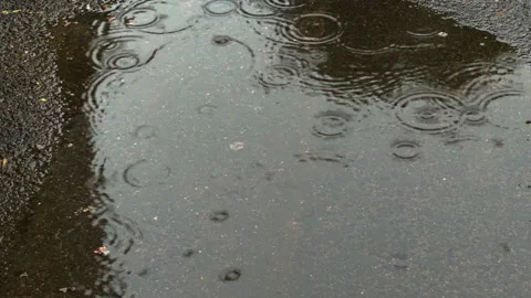 Raindrop ripples on a puddle of water on dark asphalt Stock Footage 316676728