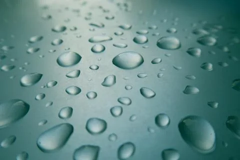 Raindrop Serenity Stock Photos