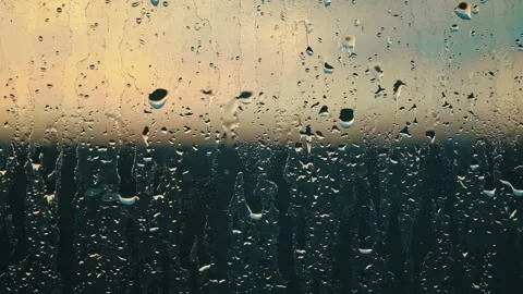 Raindrop Tapestry at Dusk Stock Footage 271519959
