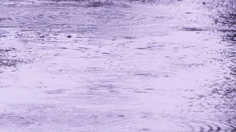 Raindrop on water in floor Stock Footage 92218076