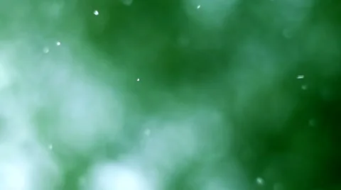 Raindrops 02 Stock Footage 50522207