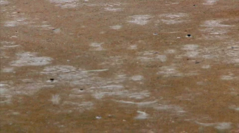 Raindrops 1654 Stock Footage