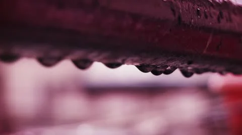 RainDrops 23.976fps Stock Footage 21367982