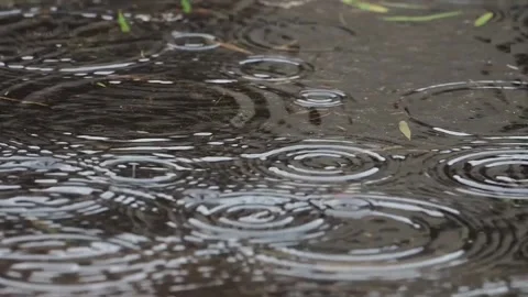 Raindrops In The Afternoon 30s 動画素材 232969416