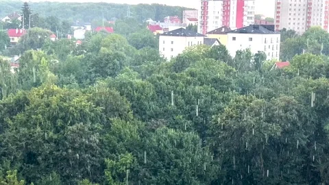 Raindrops against the background of trees in summer. Stock-Footage 284246787