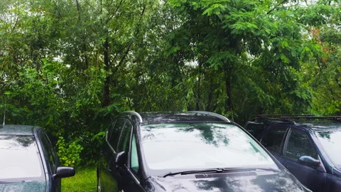 Raindrops against the background of trees in summer. Cars in a parking lot. Stock Footage 313370526