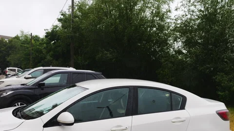Raindrops against the background of trees in summer. Cars in the parking lot. Stock Footage 313371915