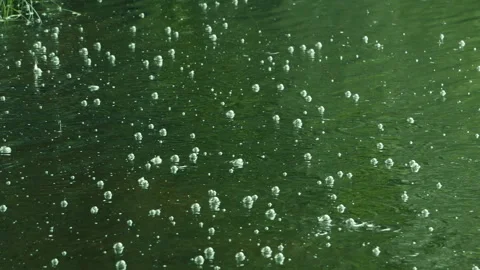 Raindrops and air bubbles on a water surface of a park pond (lake) during summer Stock Footage 104710070