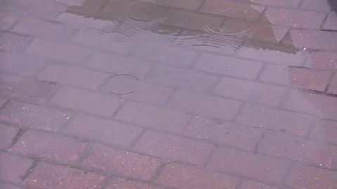 Raindrops and a puddle on the pavement Stock Footage 78700224