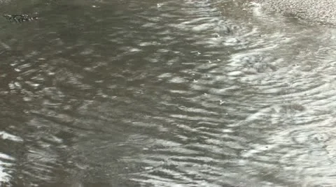 Raindrops and the puddle of water Stock Footage 11689413