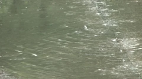 Raindrops and the puddle of water Stock Footage 11689636