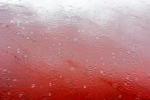 Raindrops and rippled Foto stock