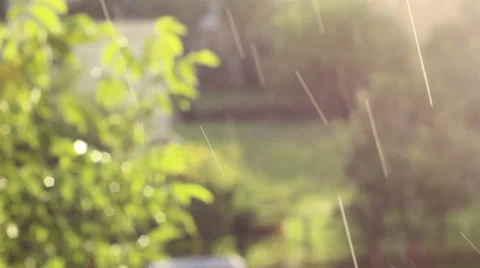 Raindrops and Sun Atmosphere Stock Footage 46125051