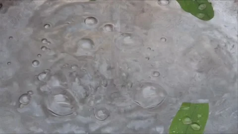 Raindrops and Water Bubbles on Green Leaf Surface Macro Clip Stockbeeldmateriaal 331765242