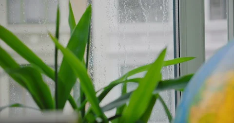 Raindrops on apartment window in modern loft Stock Footage 128544531