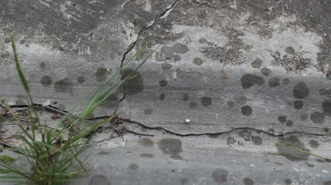 Raindrops appear on concrete Stock Footage 24730985