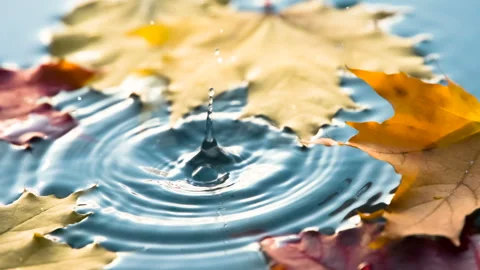 Raindrops are Falling in a Puddle Autumn HD 스톡 동영상 346082112