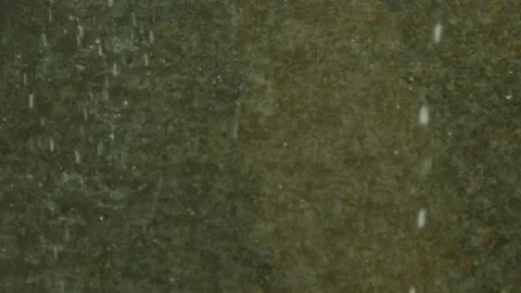 Raindrops are falling in a puddle Video stock 90973851