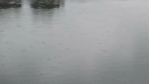 Raindrops are visible on the water Stock Footage 162032556