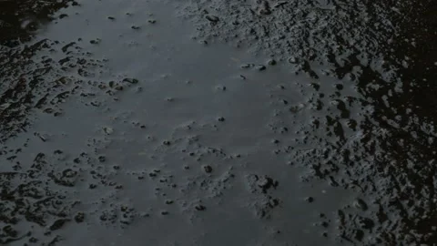 Raindrops on the asphalt Stock Footage 163089179