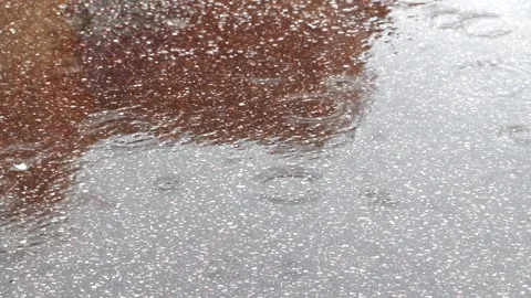 Raindrops on the asphalt . Videophone rain. Summer rain. Stock Footage 164362080