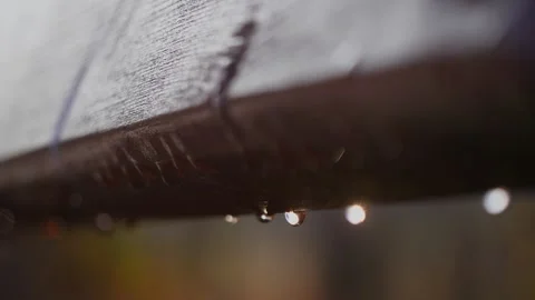 Raindrops in the autumn park. Stock-Footage 294081525