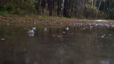 Raindrops In  Autumn Puddle Stock Footage 71480485