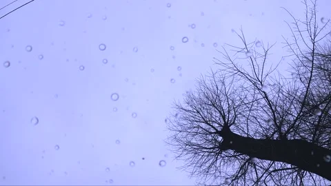 Raindrops on the background of the sky and a lonely tree without leaves Video stock 154688918