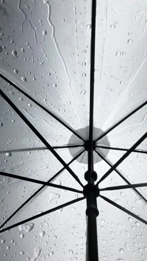 Raindrops on Black Umbrella Ribs Stock Footage 331419686