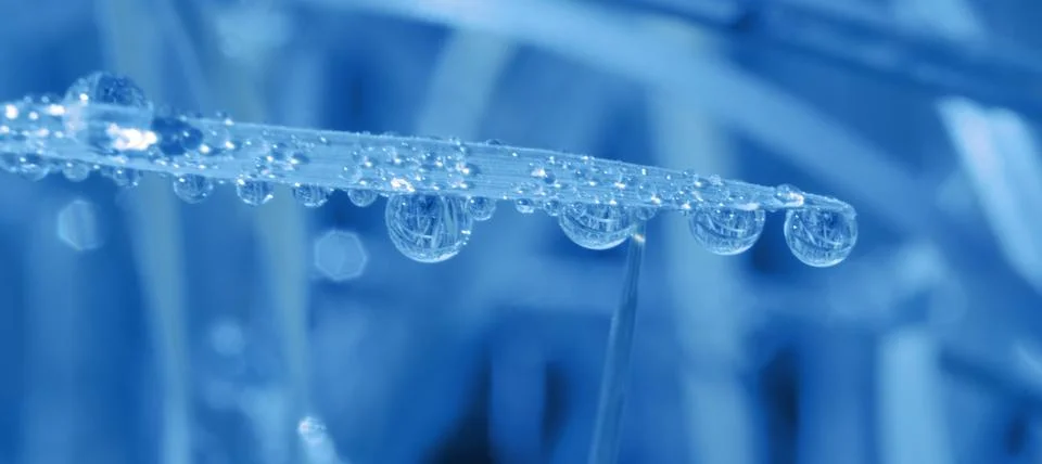 Raindrops on a blade of grass Foto stock