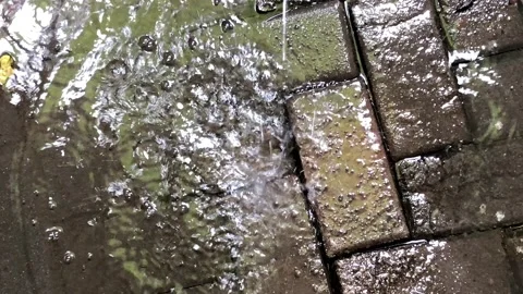 Raindrops on the block Stock Footage 171147727