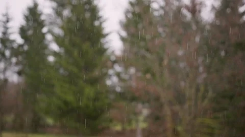 Raindrops with blurred background of trees Stock Footage 341610699