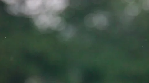 Raindrops on blurred leaves background Stock Footage 297454732